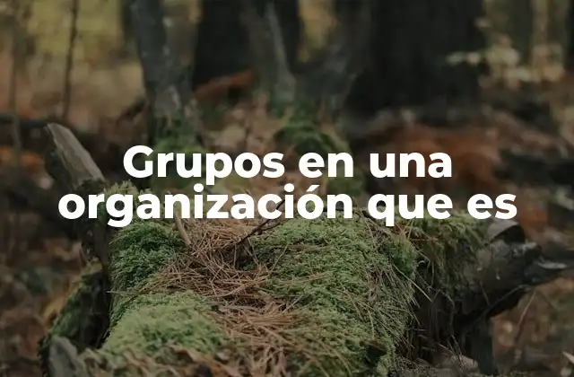 Grupos en una Organización que es