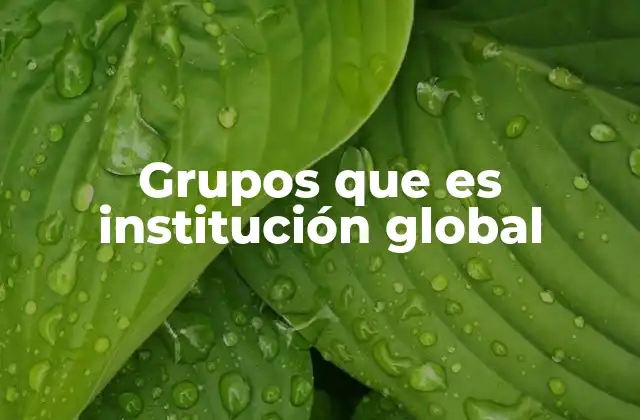 Grupos que es Institución Global 2 El papel de las instituciones globales en la gobernanza internacional