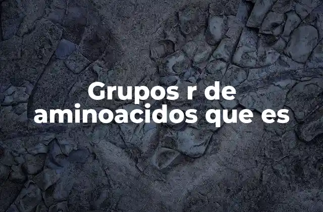 Grupos R de Aminoacidos que es