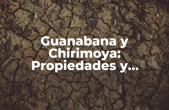 Guanabana y Chirimoya: Propiedades y Beneficios de Estas Deliciosas Frutas