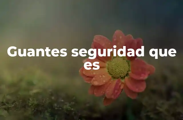 Guantes Seguridad que es