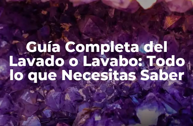Guía Completa Del Lavado o Lavabo: Todo Lo que Necesitas Saber