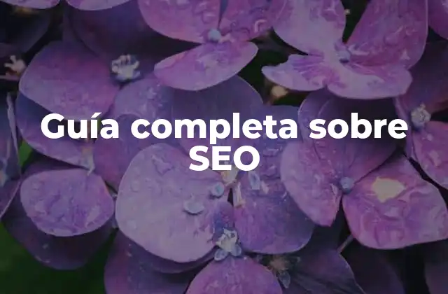Guía Completa sobre Seo