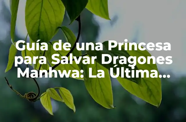 Guía de una Princesa para Salvar Dragones Manhwa: la Última Guía para Fanáticos