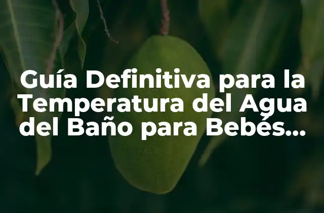 Guía Definitiva para la Temperatura Del Agua Del Baño para Bebés Recién Nacidos