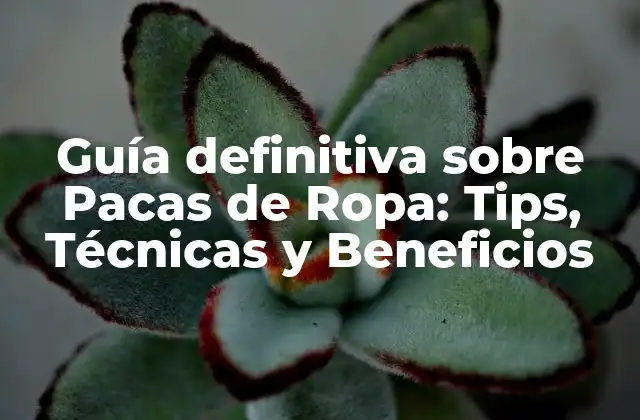 Guía Definitiva sobre Pacas de Ropa: Tips, Técnicas y Beneficios