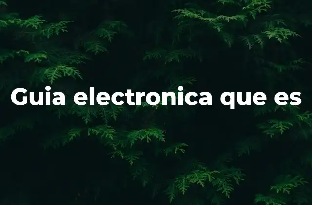 Guia Electronica que es