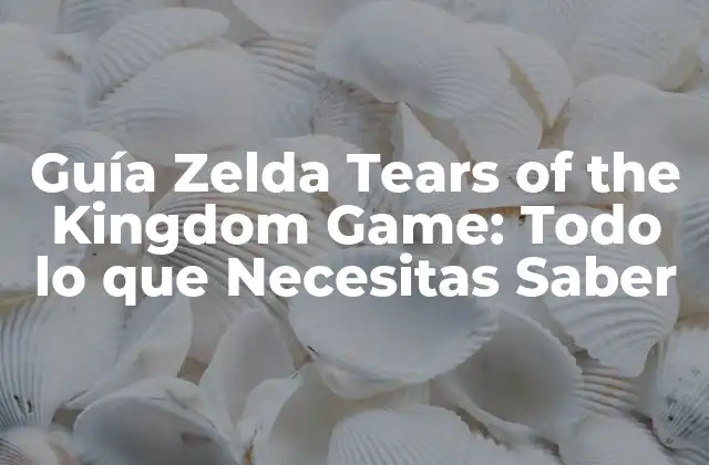 Guía Zelda Tears Of The Kingdom Game: Todo Lo que Necesitas Saber
