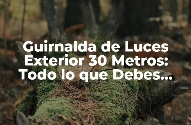 Guirnalda de Luces Exterior 30 Metros: Todo Lo que Debes Saber
