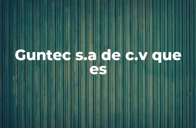 El rol de Guntec en el sector de seguridad y tecnología