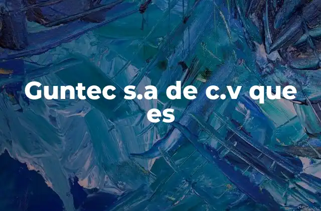 Guntec S.a de C.v que es