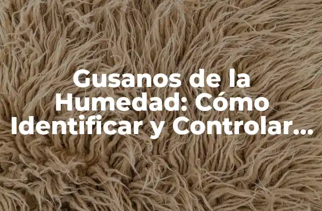 Gusanos de la Humedad: Cómo Identificar y Controlar Estos Insectos Dañinos