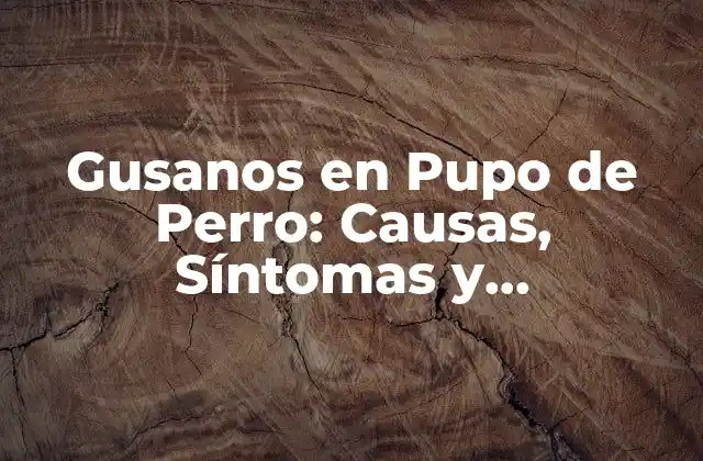 Gusanos en Pupo de Perro: Causas, Síntomas y Tratamiento