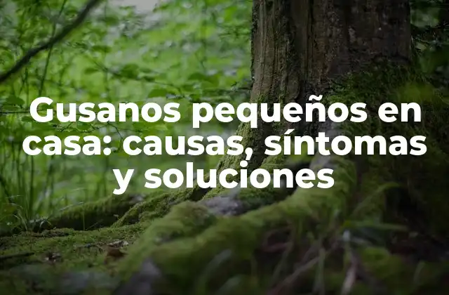 Gusanos Pequeños en Casa: Causas, Síntomas y Soluciones