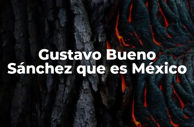 Gustavo Bueno Sánchez que es México