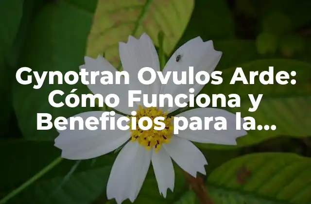 Gynotran Ovulos Arde: Cómo Funciona y Beneficios para la Salud Femenina