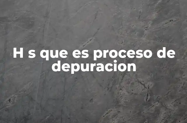 H S que es Proceso de Depuracion