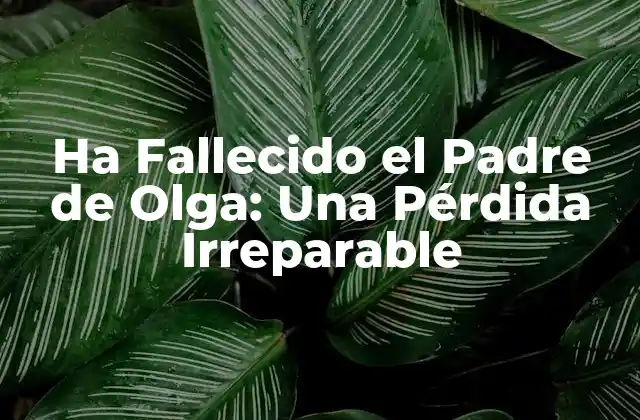 Ha Fallecido el Padre de Olga: una Pérdida Irreparable