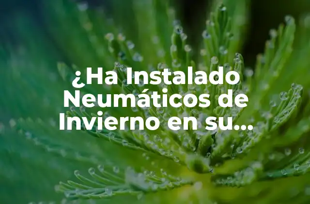 ¿ha Instalado Neumáticos de Invierno en Su Vehículo?