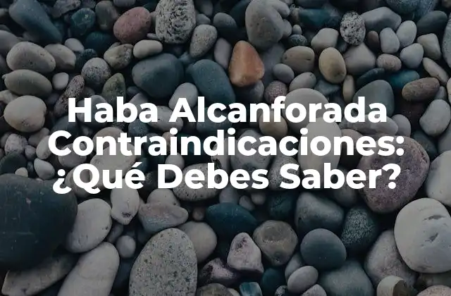 Haba Alcanforada Contraindicaciones: ¿qué Debes Saber? 2 ¿Qué es la Haba Alcanforada?
