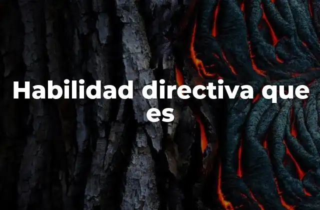 Habilidad Directiva que es