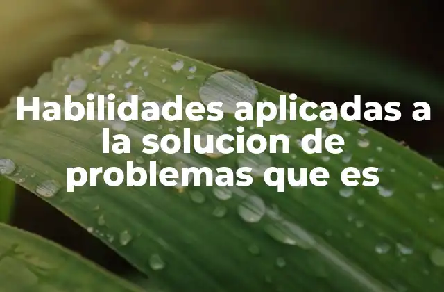 Habilidades Aplicadas a la Solucion de Problemas que es