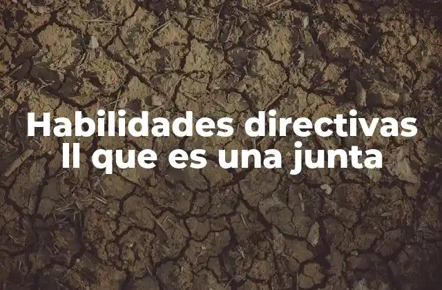 Habilidades Directivas Ll que es una Junta