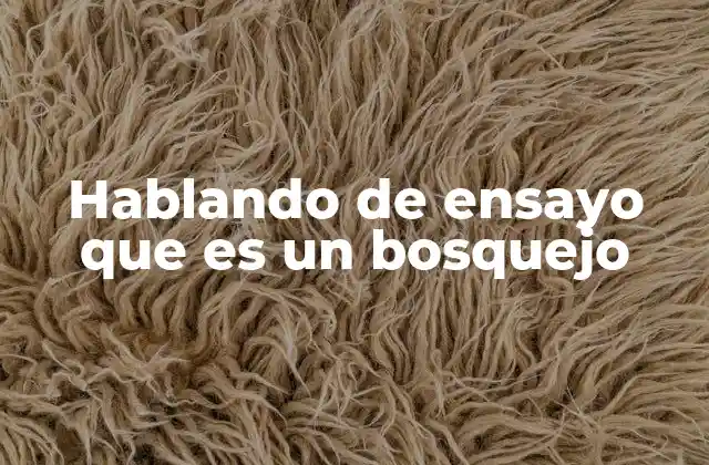 Hablando de Ensayo que es un Bosquejo