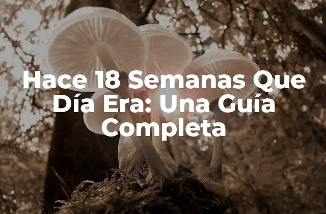 Hace 18 Semanas que Día Era: una Guía Completa