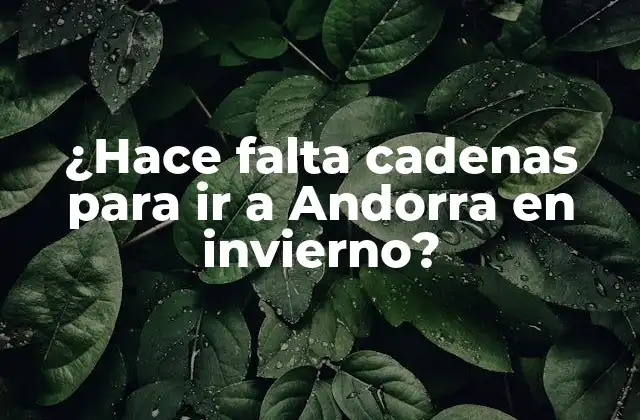 ¿hace Falta Cadenas para Ir a Andorra en Invierno?