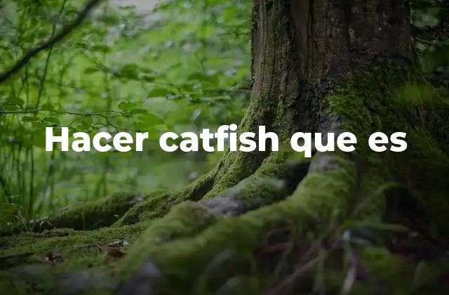 Hacer Catfish que es