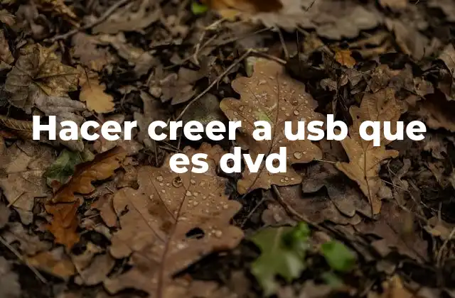 Hacer Creer a Usb que es Dvd