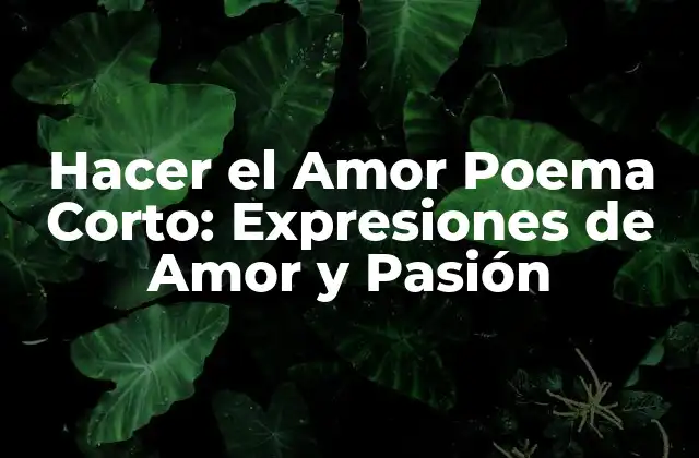Hacer el Amor Poema Corto: Expresiones de Amor y Pasión