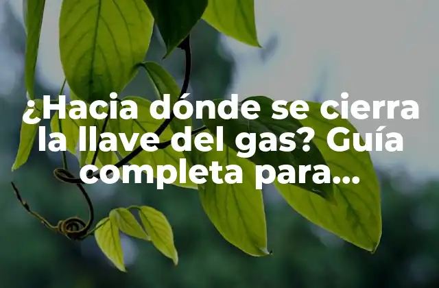 ¿hacia Dónde Se Cierra la Llave Del Gas? Guía Completa para Entender el Funcionamiento Del Sistema de Gas