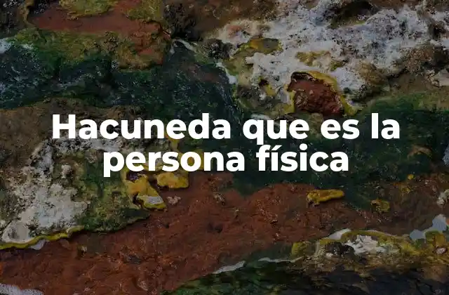 Hacuneda que es la Persona Física
