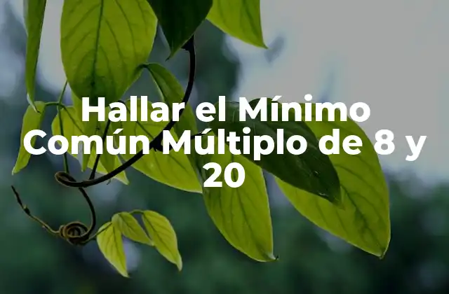 Hallar el Mínimo Común Múltiplo de 8 y 20