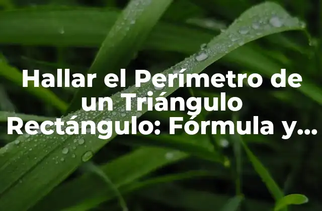 Hallar el Perímetro de un Triángulo Rectángulo: Fórmula y Ejemplos Prácticos