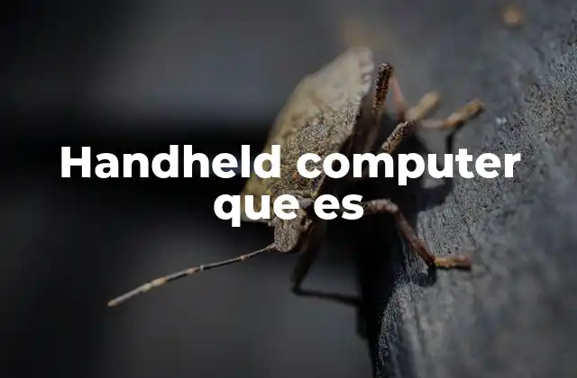 Handheld Computer que es 2 La evolución de los dispositivos de cómputo de mano