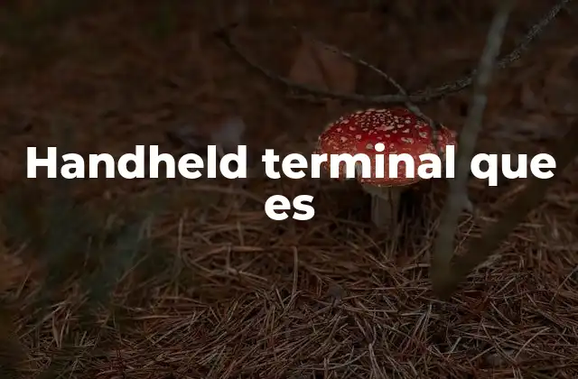 Handheld Terminal que es