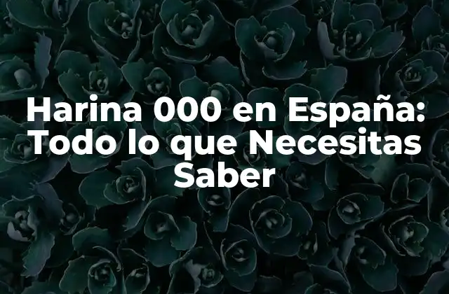 Harina 000 en España: Todo Lo que Necesitas Saber