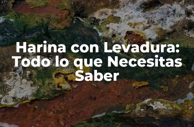 Harina con Levadura: Todo Lo que Necesitas Saber