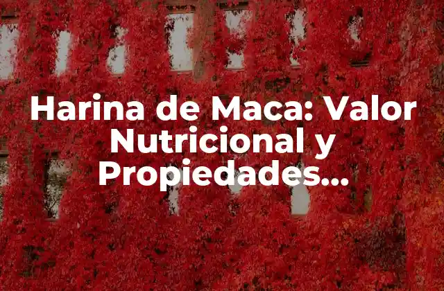 Harina de Maca: Valor Nutricional y Propiedades Beneficiosas para la Salud