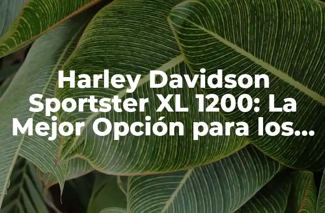Harley Davidson Sportster Xl 1200: la Mejor Opción para los Entusiastas de las Motocicletas