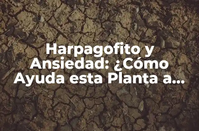Harpagofito y Ansiedad: ¿cómo Ayuda Esta Planta a Reducir el Estrés?