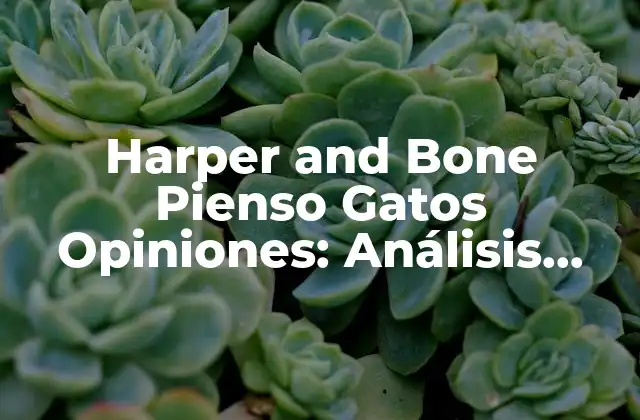 Harper And Bone Pienso Gatos Opiniones: Análisis Detallado y Real de los Propietarios de Gatos