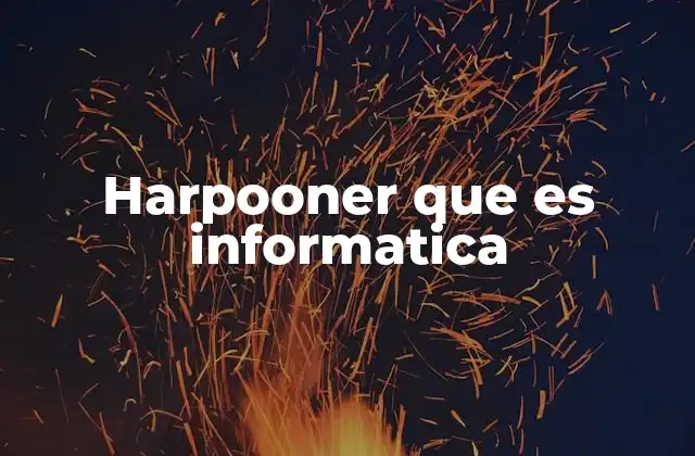 Harpooner que es Informatica