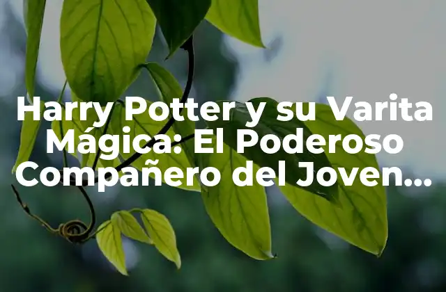 Harry Potter y Su Varita Mágica: el Poderoso Compañero Del Joven Mago