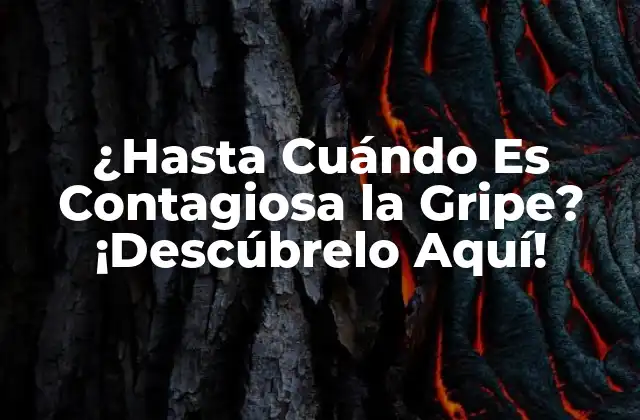 ¿hasta Cuándo es Contagiosa la Gripe? ¡descúbrelo Aquí!