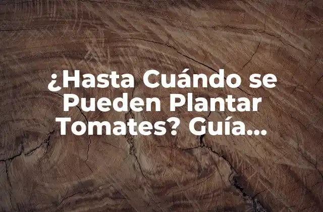 ¿hasta Cuándo Se Pueden Plantar Tomates? Guía Completa para Cultivar Tomates Todo el Año