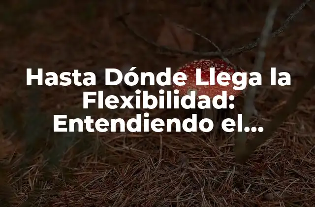 Hasta Dónde Llega la Flexibilidad: Entendiendo el Concepto de Asta y hasta